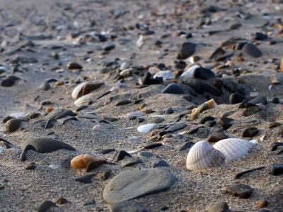 436 YNYSLAS BEACH.jpg